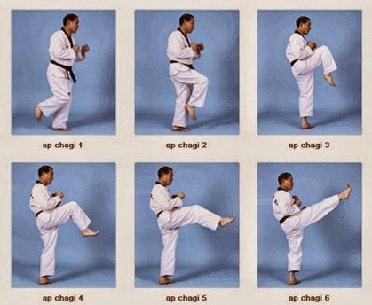 Menang mana vs karate taekwondo 15 Jenis