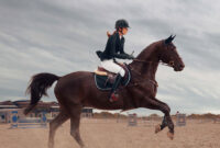 Olahraga Berkuda : Pengertian, Jenis, Teknik, Manfaat & Tipsnya